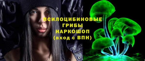 PSILOCYBIN Аркадак
