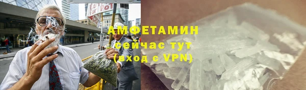 PSILOCYBIN Аркадак