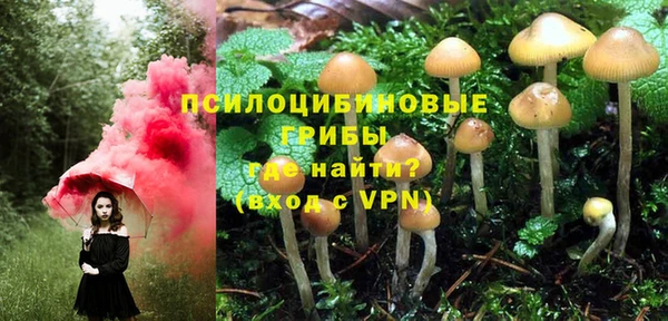 PSILOCYBIN Аркадак