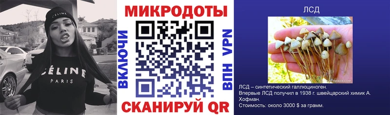 Галлюциногенные грибы Cubensis  Белогорск 